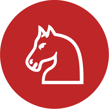 horse badge